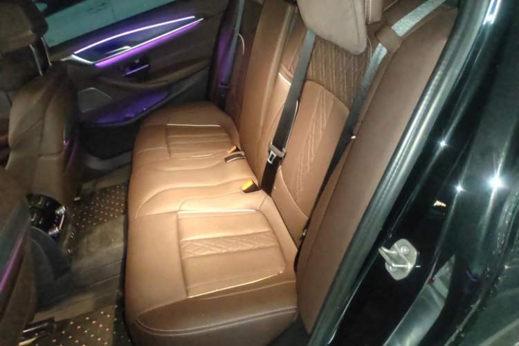 Used BMW 5 Series 2022 Revised Version 3 530Li Luxury Edition M Sport Package Left Rear Seat
