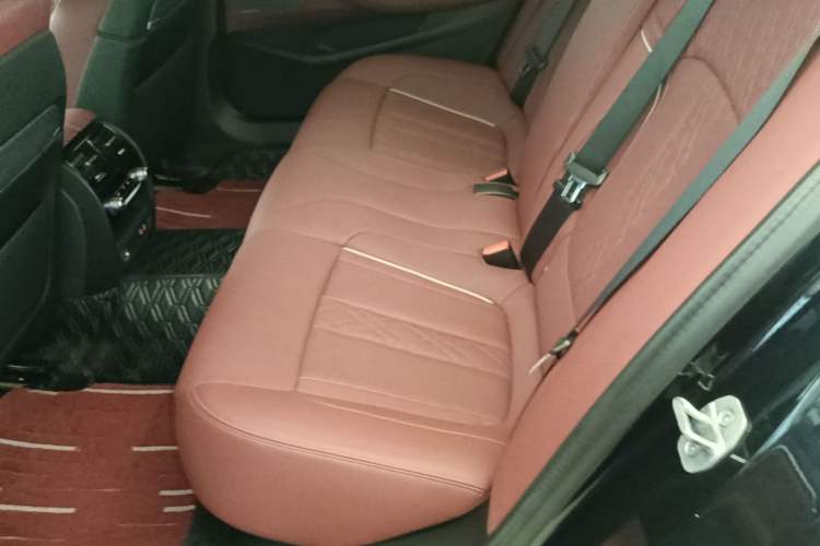 Used BMW 5 Series 2022 Revised Version 3 530Li Luxury Edition M Sport Package Left Rear Seat