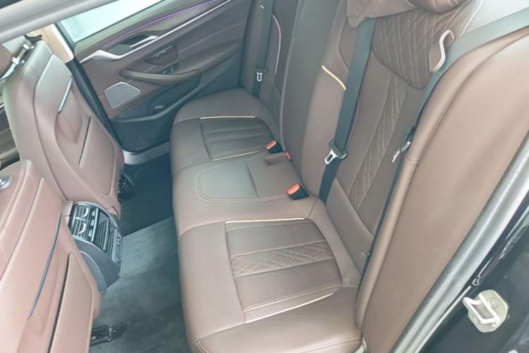 Used BMW 5 Series 2022 Second Facelift 530Li Leading Edition Luxury Package Left Rear Seat