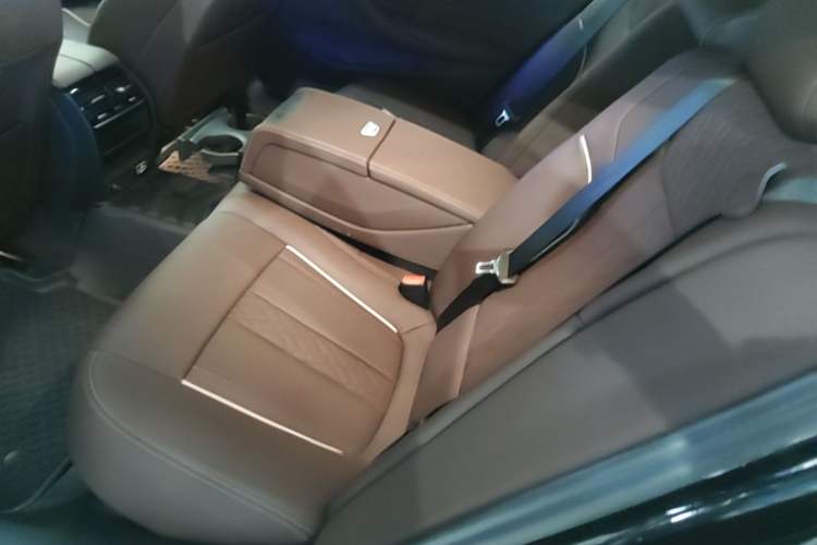 Used BMW 5 Series 2022 Second Facelift 530Li Leading Edition M Sport Package Left Rear Seat
