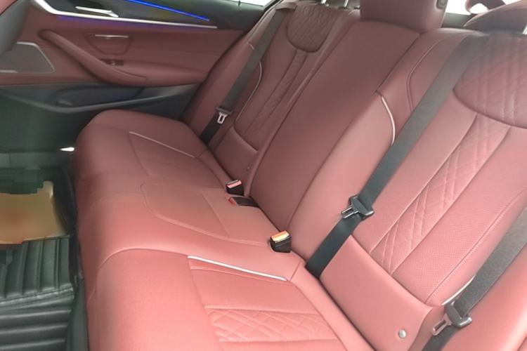 Used BMW 5 Series 2022 530Li Leading Luxury Package Left Rear Seat