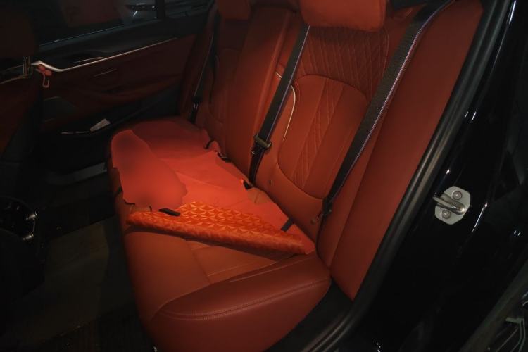 Used BMW 5 Series 2022 Revised Version 3 530Li Luxury Edition M Sport Package Left Rear Seat