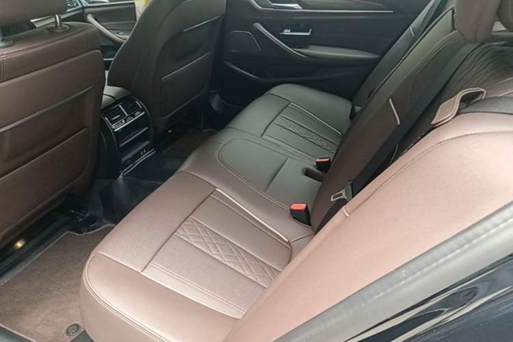 Used BMW 5 Series 2022 Second Facelift 530Li Leading Edition Luxury Package Left Rear Seat