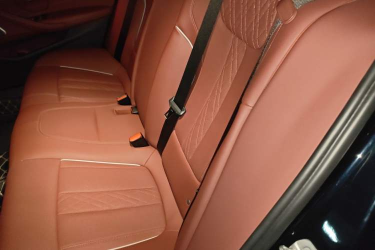 Used BMW 5 Series 2022 Revised Version 530Li xDrive M Sport Package Left Rear Seat