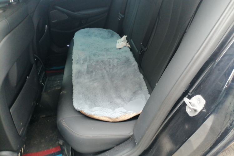 Used BMW 5 Series 2022 Second Facelift 530i M Sport Package Left Rear Seat