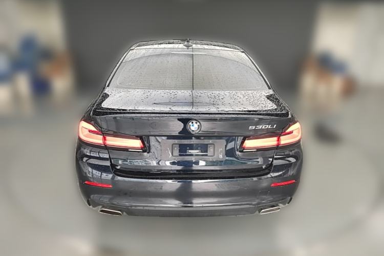 Used BMW 5 Series 2022 530Li Leading Luxury Package Rear