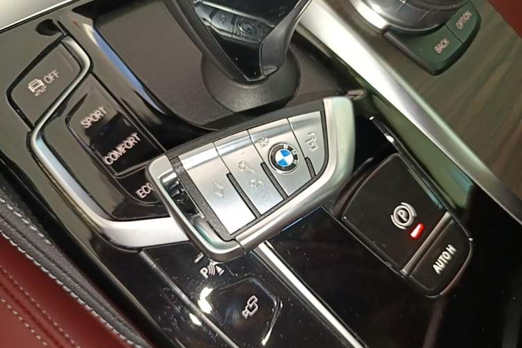 Used BMW 5 Series 2022 Updated 530Li Luxury Edition Premium Package Vehicle Key