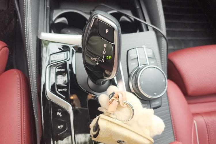 Used BMW 5 Series 2022 Revised Version 3 530Li Luxury Edition M Sport Package Gear Lever