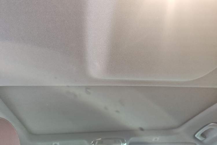 Used BMW 5 Series 2022 Second Facelift 525Li M Sport Package Headliner