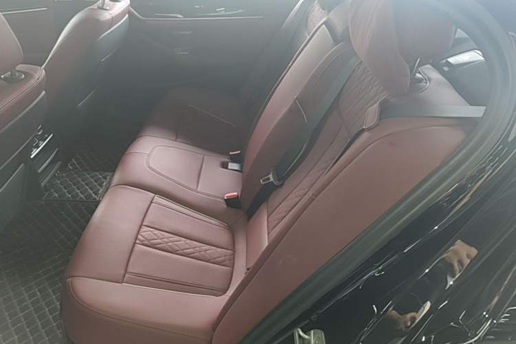 Used BMW 5 Series 2022 Second Facelift 525Li Luxury Package Left Rear Seat