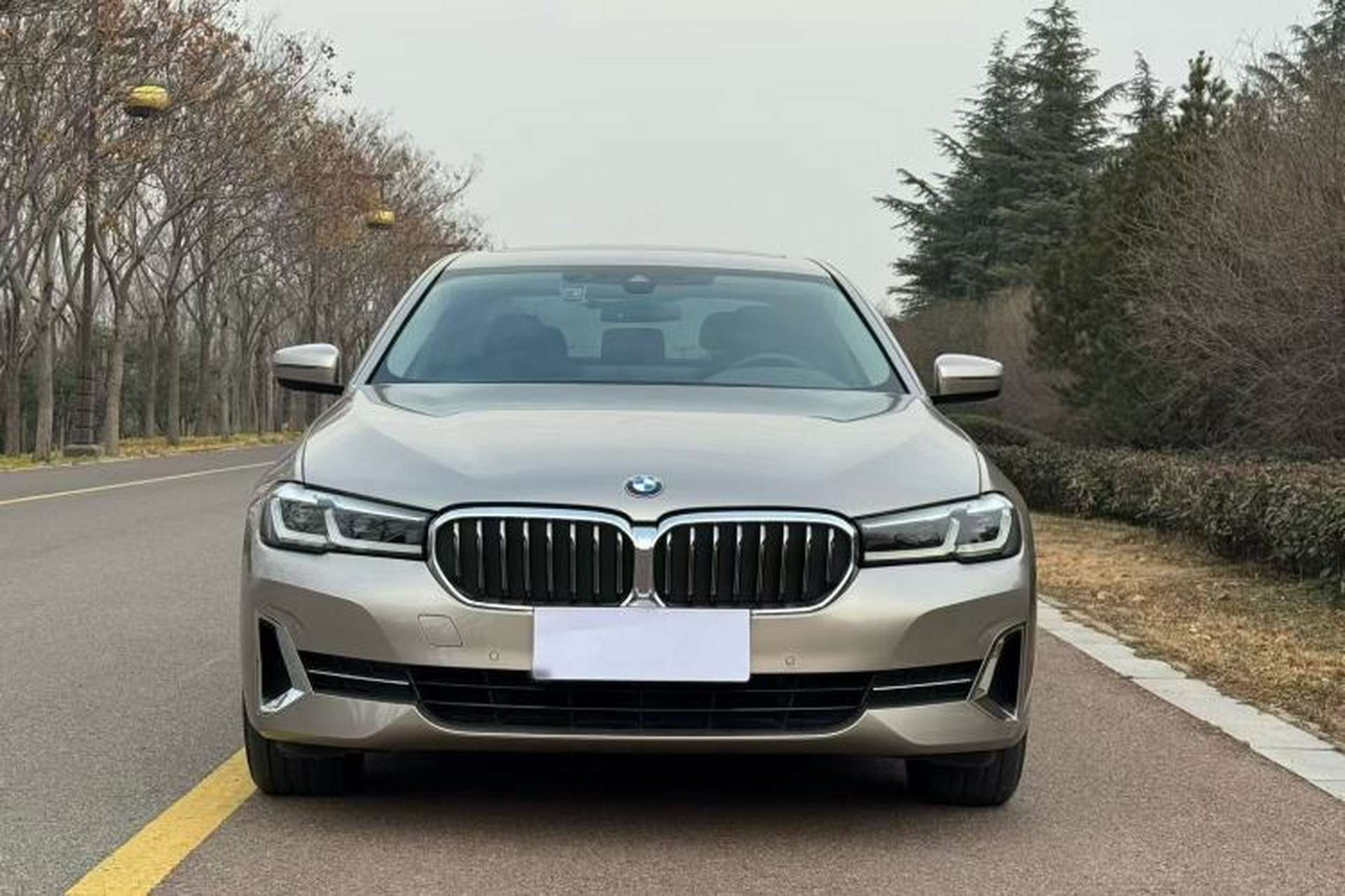 Used BMW 5 Series 2022 Updated 530Li Leading Edition Luxury Package Exterior 2