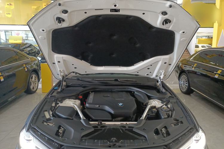 Used BMW 5 Series 2022 530Li Luxury Edition Premium Package Engine Bay