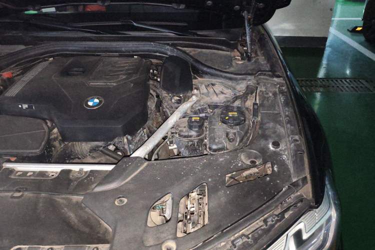 Used BMW 5 Series 2022 530Li Luxury Edition M Sport Package Engine Bay Left