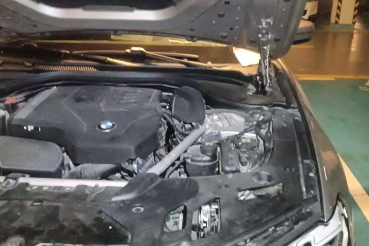Used BMW 5 Series 2022 Second Facelift 530Li Leading Edition M Sport Package Engine Bay Left