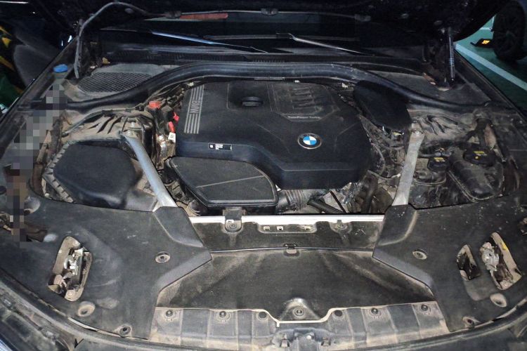 Used BMW 5 Series 2022 530Li Luxury Edition M Sport Package Engine Bay