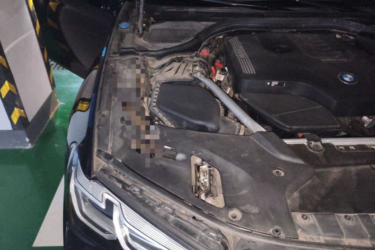 Used BMW 5 Series 2022 530Li Luxury Edition M Sport Package Engine Bay Right