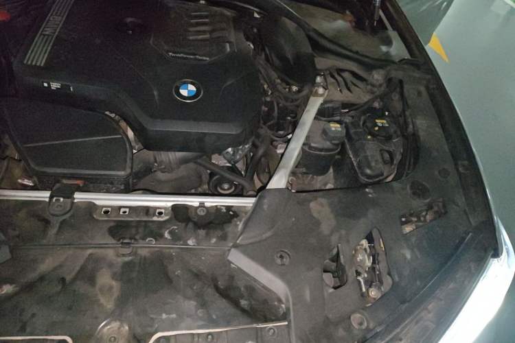 Used BMW 5 Series 2022 Second Facelift 530Li Luxury Version M Sport Package Engine Bay Left