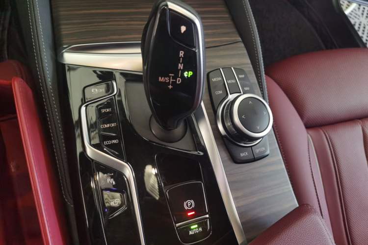 Used BMW 5 Series 2022 Second Facelift 530Li Luxury Version M Sport Package Gear Lever