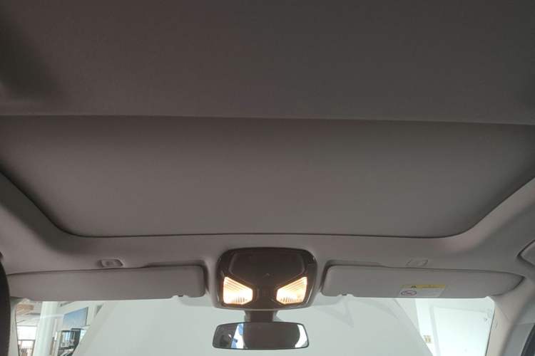Used BMW 5 Series 2022 Updated 530Li Leading Edition Luxury Package Headliner