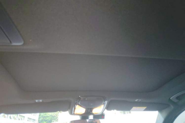 Used BMW 5 Series 2022 Restyled 530Li Leading Edition M Sport Package Headliner
