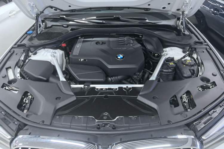 Used BMW 5 Series 2022 Revised Version 3 530Li Luxury Edition M Sport Package Engine Bay