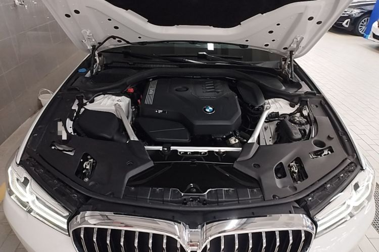 Used BMW 5 Series 2022 Second Facelift 525Li Luxury Package Engine Bay