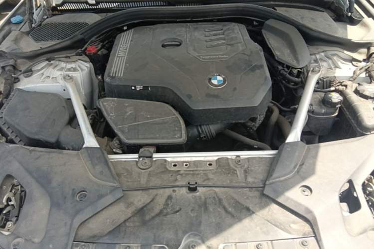 Used BMW 5 Series 2022 Second Facelift 530Li xDrive M Sport Package Engine Bay