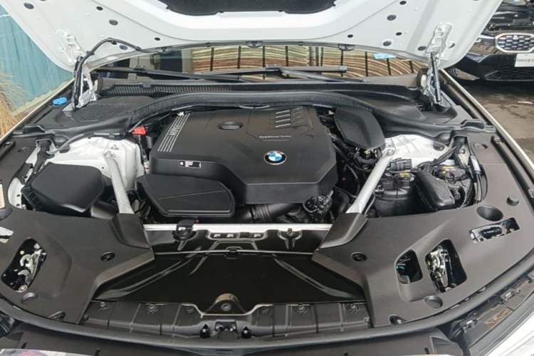 Used BMW 5 Series 2022 Second Facelift 530Li Leading Edition M Sport Package Engine Bay