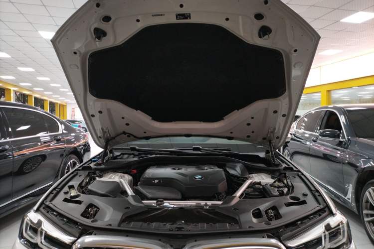 Used BMW 5 Series 2022 Second Facelift 530Li Luxury Edition Premium Package Engine Bay