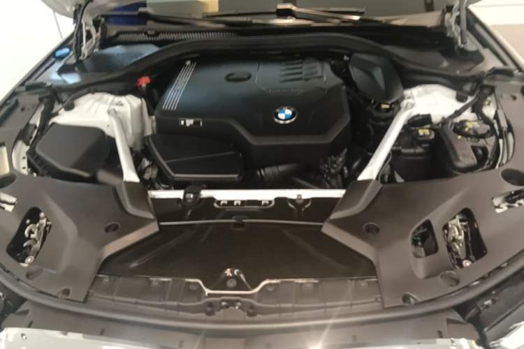 Used BMW 5 Series 2022 Second Facelift 530Li Leading Edition M Sport Package Engine Bay