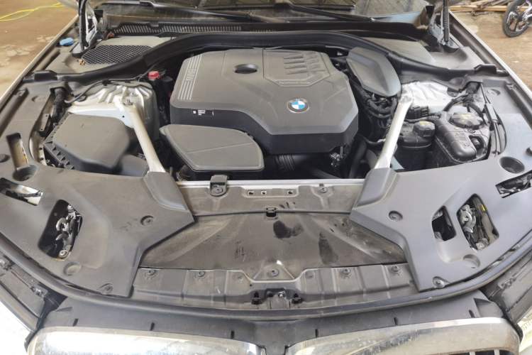 Used BMW 5 Series 2022 Second Facelift 530Li Leading Edition M Sport Package Engine Bay
