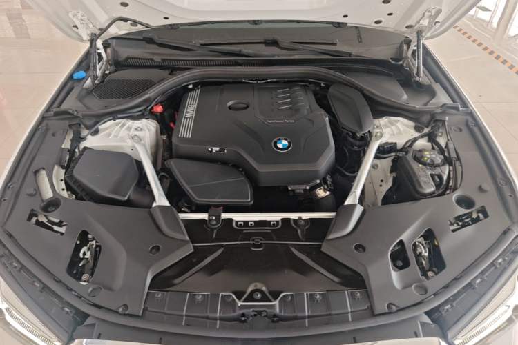 Used BMW 5 Series 2022 Second Facelift 525Li M Sport Package Engine Bay