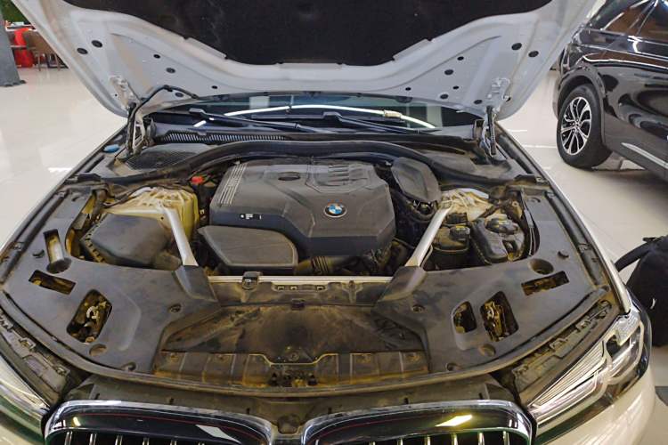 Used BMW 5 Series 2022 Second Facelift 530Li Luxury Edition Premium Package Engine Bay