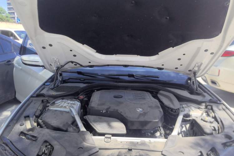 Used BMW 5 Series 2022 Second Facelift 525Li M Sport Package Engine Bay