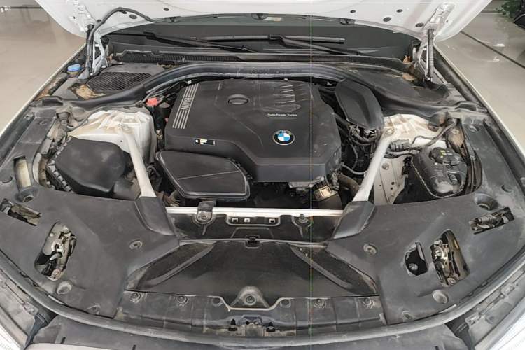 Used BMW 5 Series 2022 Second Facelift 525Li M Sport Package Engine Bay