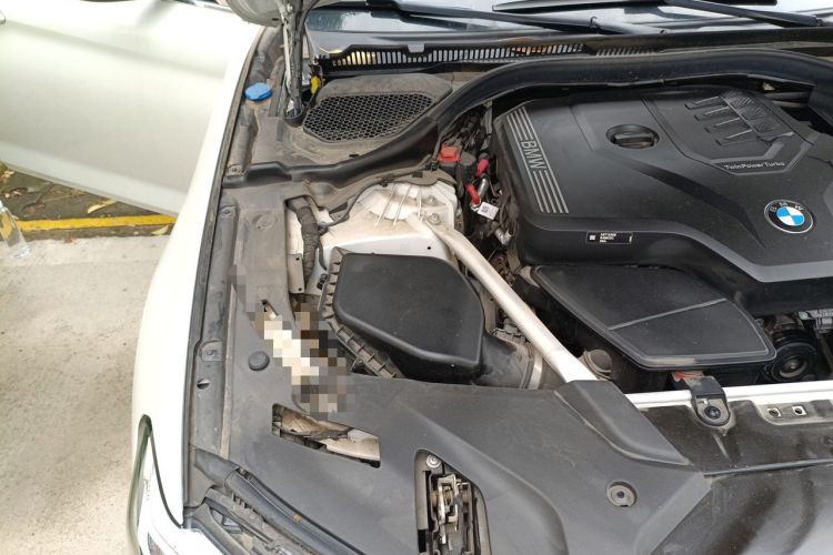 Used BMW 5 Series 2022 Second Facelift 525Li M Sport Package Engine Bay Right