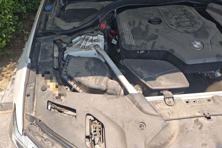 Used BMW 5 Series 2022 Second Facelift 525Li M Sport Package Engine Bay Right