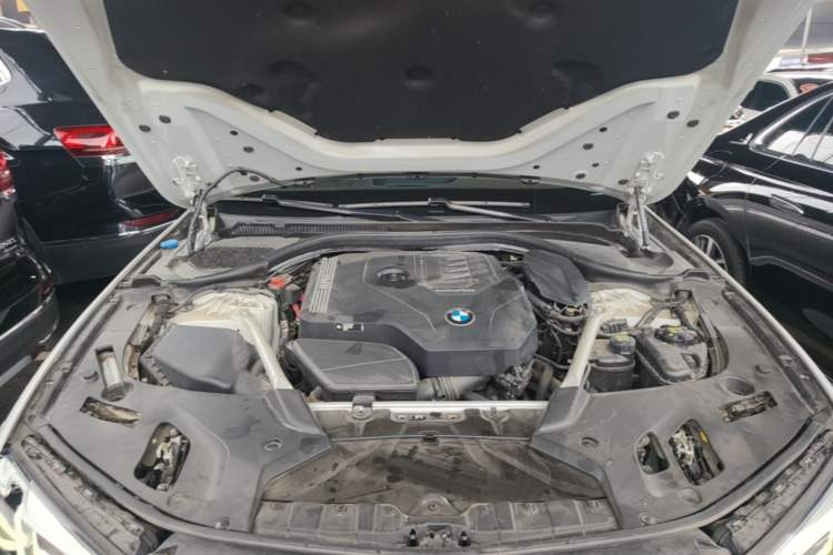 Used BMW 5 Series 2022 Restyled 530Li Leading Edition M Sport Package Engine Bay
