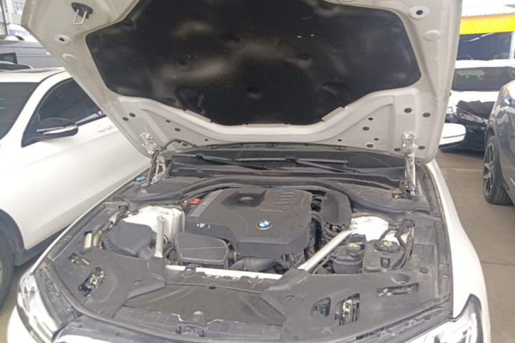 Used BMW 5 Series 2022 Second Facelift 530Li Luxury Edition Premium Package Engine Bay