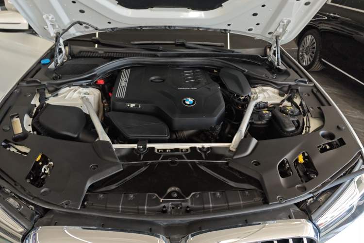 Used BMW 5 Series 2022 Revised Version 530Li xDrive M Sport Package Engine Bay