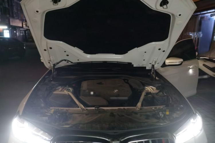 Used BMW 5 Series 2022 530Li Leading Model M Sport Package Engine Bay