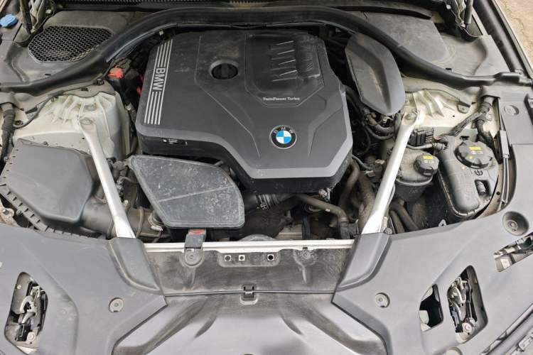 Used BMW 5 Series 2022 530Li Luxury Edition M Sport Package Engine Bay