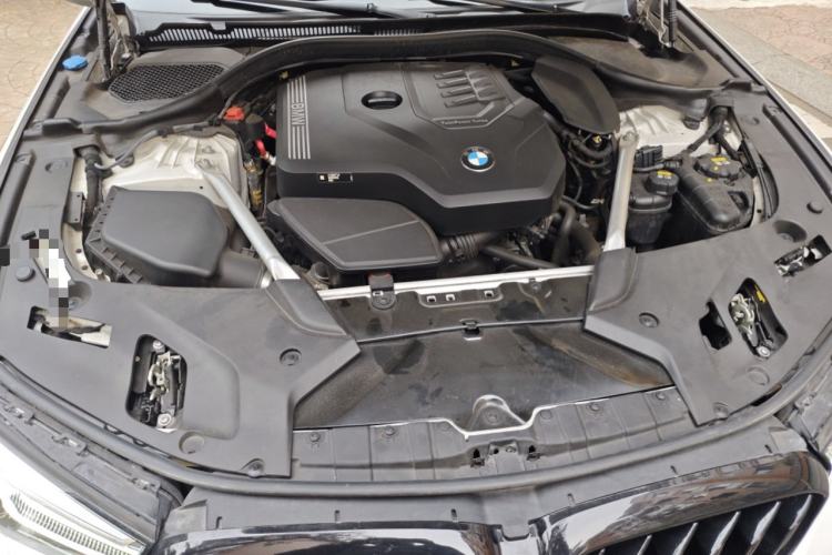 Used BMW 5 Series 2022 Revised Version 3 530Li Luxury Edition M Sport Package Engine Bay