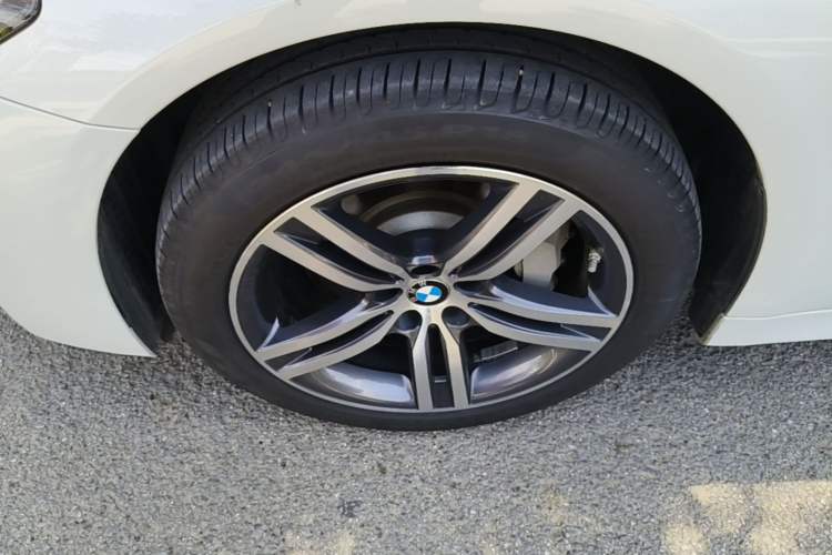 Used BMW 5 Series 2022 Updated 530Li Leading Edition Luxury Package Exterior 4