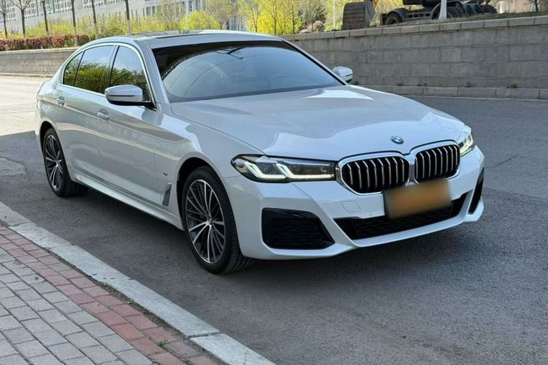 Used BMW 5 Series 2022 Second Facelift 530Li xDrive M Sport Package Exterior 5