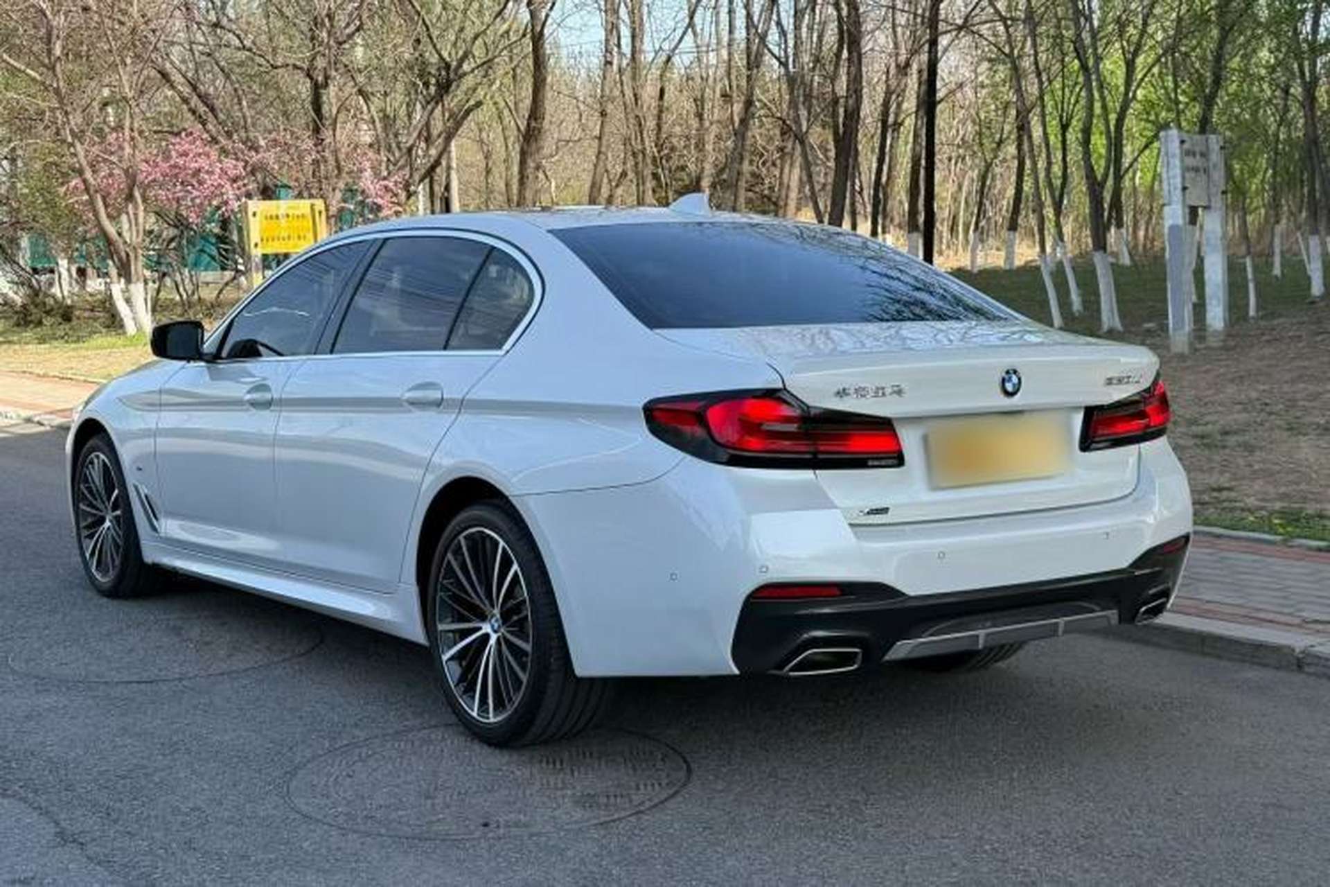 Used BMW 5 Series 2022 Second Facelift 530Li xDrive M Sport Package Exterior 7