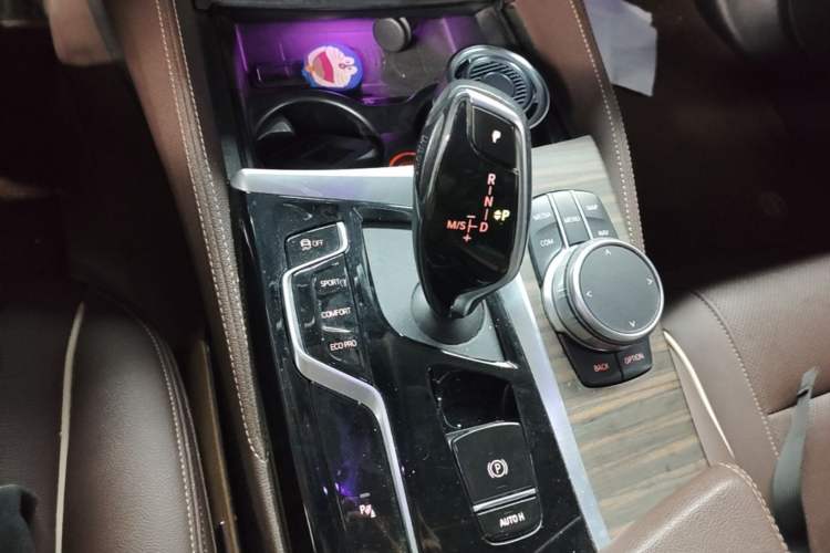 Used BMW 5 Series 2022 Second Facelift 530Li Leading Edition M Sport Package Gear Lever