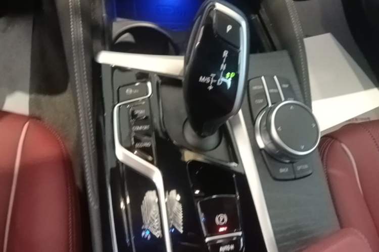 Used BMW 5 Series 2022 Second Facelift 530Li Leading Edition M Sport Package Gear Lever