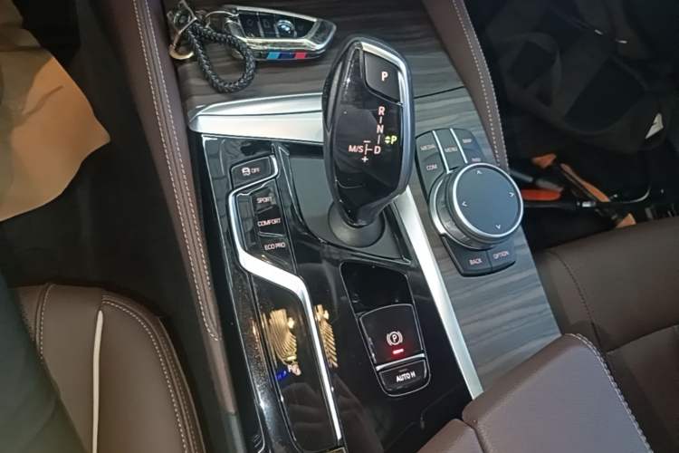Used BMW 5 Series 2022 Updated 530Li Leading Edition Luxury Package Gear Lever