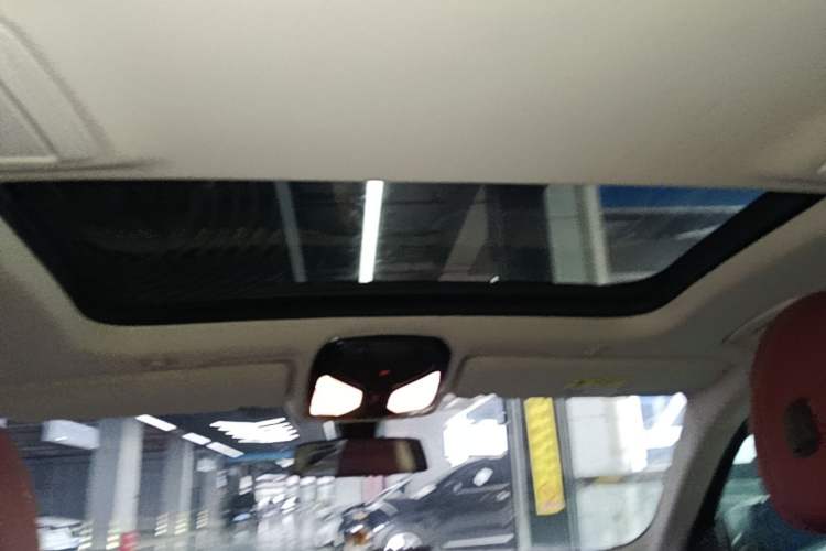 Used BMW 5 Series 2022 Updated 530Li Leading Edition Luxury Package Headliner